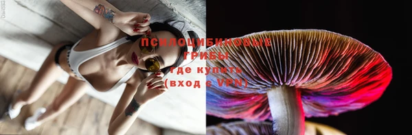 спиды Бугульма