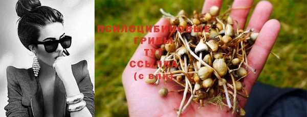 спиды Бугульма
