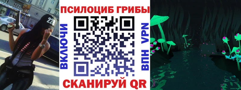 mega маркетплейс  Бежецк  Галлюциногенные грибы GOLDEN TEACHER  сколько стоит 